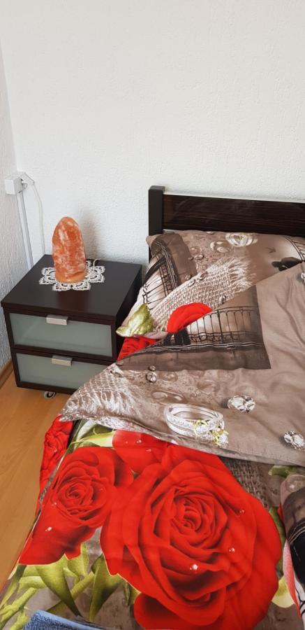 Apartament "Kometa" Podczele 科沃布热格 外观 照片